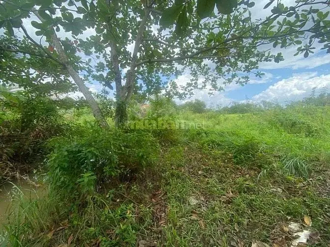Chính Chủ Gửi Bán Lô Đất Lớn Hiếm Có Tại Long Phước - Thủ Đức (Quận