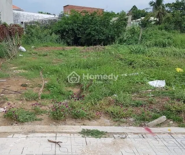 6015263 ảnh đại diện 1