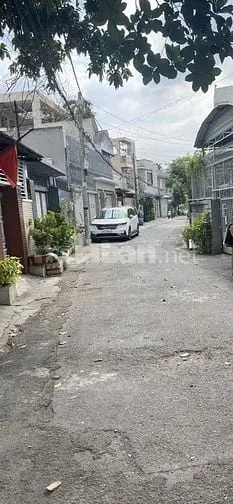 6015633 ảnh đại diện 1