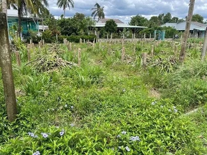 6015497 ảnh đại diện 1