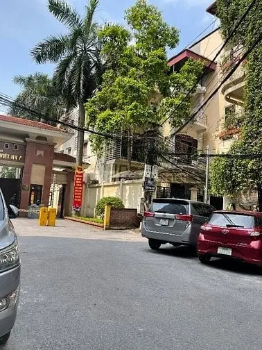 6015249 ảnh đại diện 1