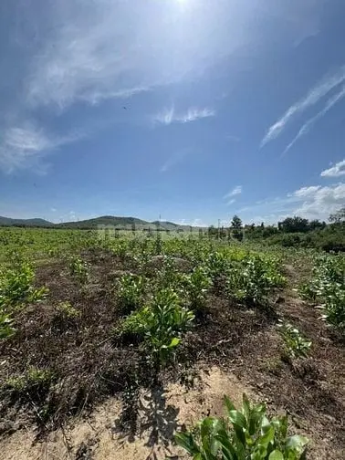 69.000Đ/M2 Bán Đất Làm Vườn 10Hecta Ninh Sơn, Tx Ninh Hoà, Khánh Hoà