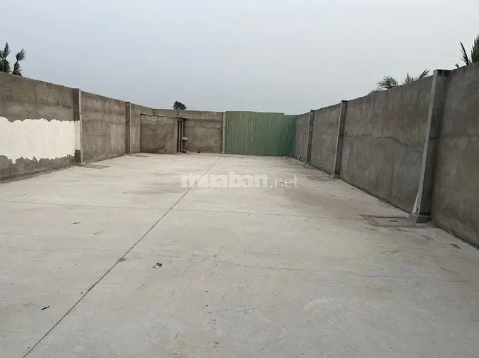 6015433 ảnh đại diện 1