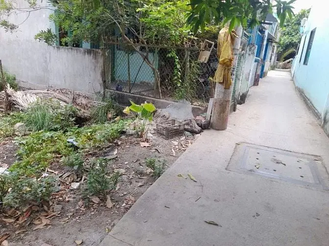 Bán Lô Đất Trung Tâm Bình Khánh -Cần Giờ , 296,5M2, Giá: 4,5 Tỷ