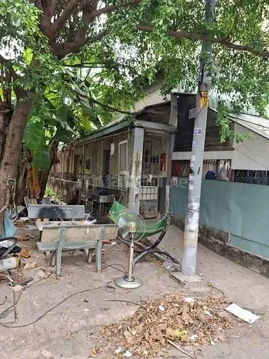 6015423 ảnh đại diện 1