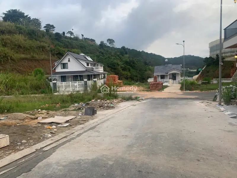 6015713 ảnh đại diện 1