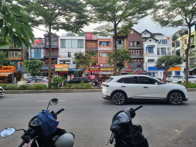 6015751 ảnh đại diện 1