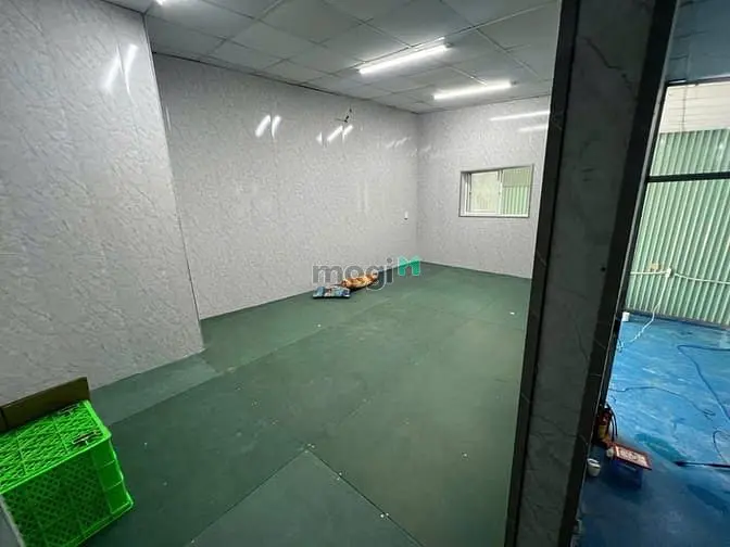 6015479 ảnh đại diện 1