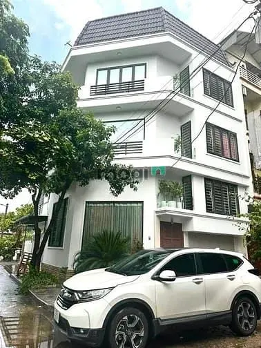 6015458 ảnh đại diện 1