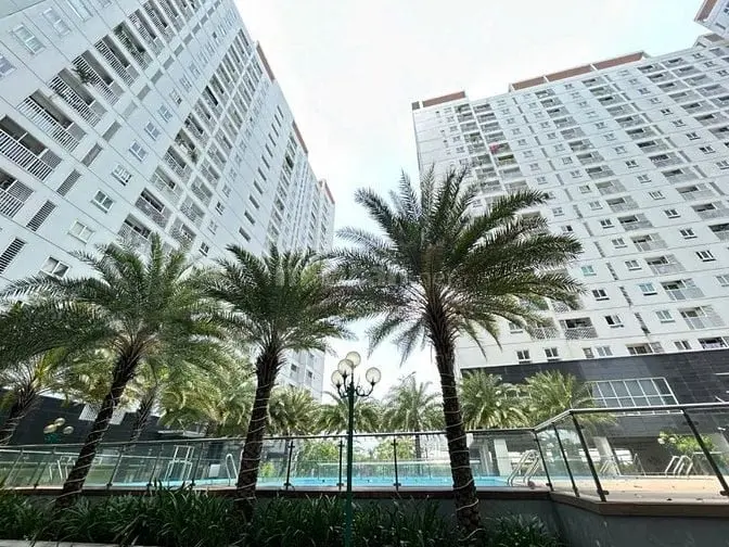 6015837 ảnh đại diện 1