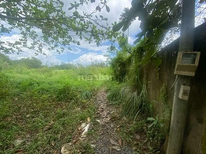 Chính Chủ Gửi Bán Lô Đất Lớn Hiếm Có Tại Long Phước - Thủ Đức (Quận