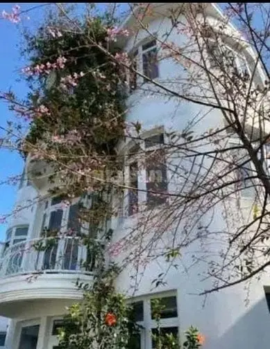 6015360 ảnh đại diện 1