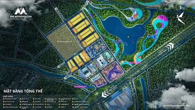 6015435 ảnh đại diện 1