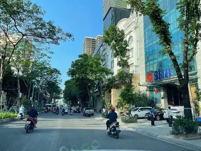 6015584 ảnh đại diện 1