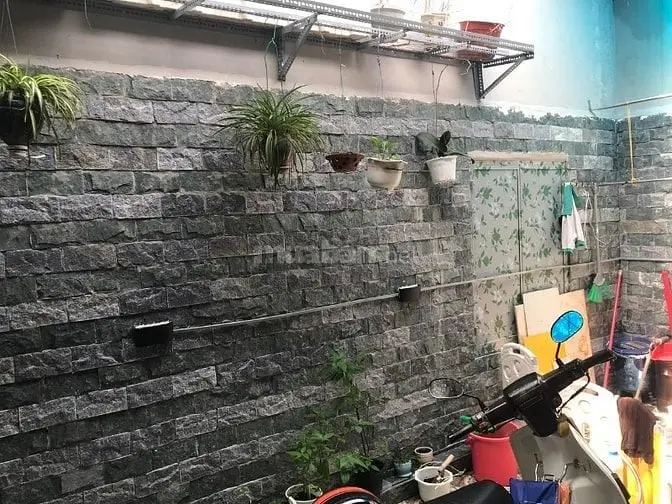 6015288 ảnh đại diện 1
