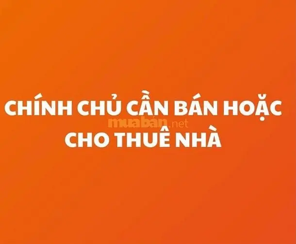 6015614 ảnh đại diện 1
