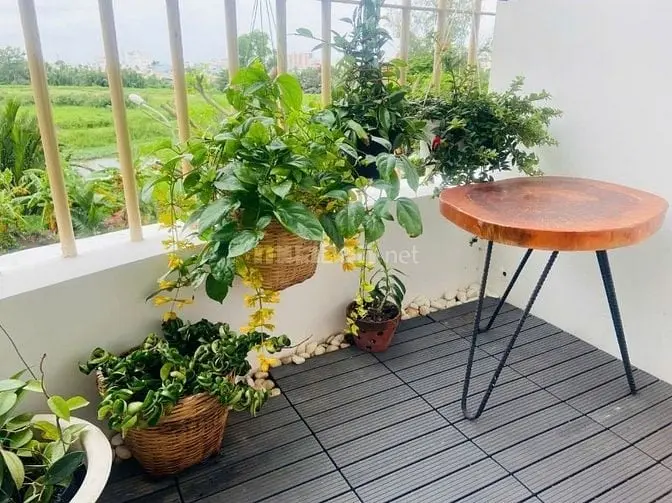 6015695 ảnh đại diện 1