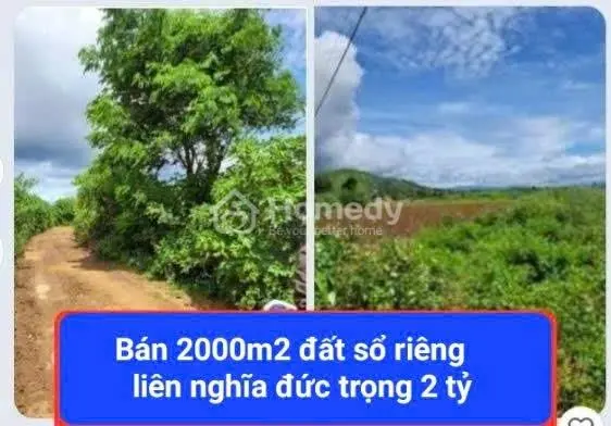 6015710 ảnh đại diện 1