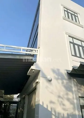 6015678 ảnh đại diện 1