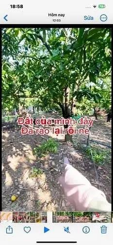 6015950 ảnh đại diện 1