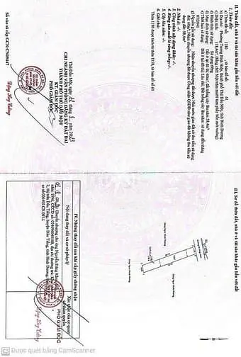 6016077 ảnh đại diện 1