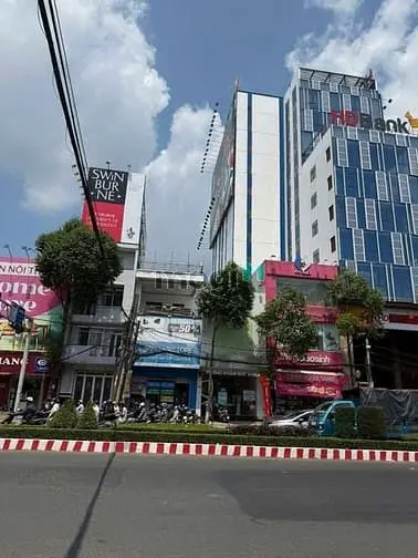 6015866 ảnh đại diện 1