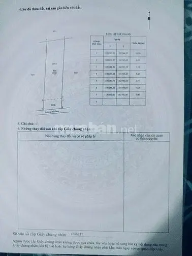 6016008 ảnh đại diện 1
