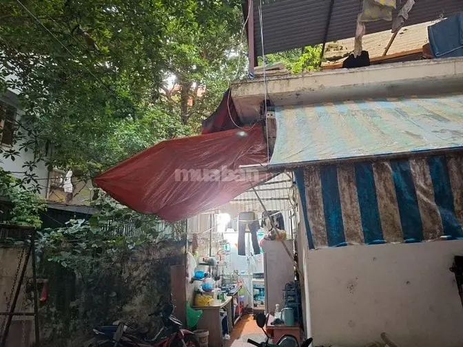 6015931 ảnh đại diện 1