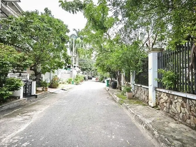 6016231 ảnh đại diện 1