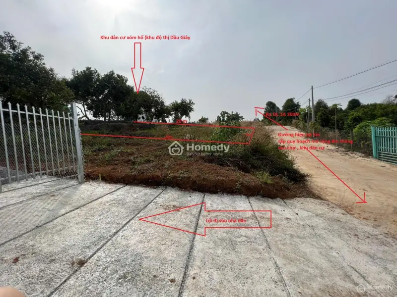 6016423 ảnh đại diện 1