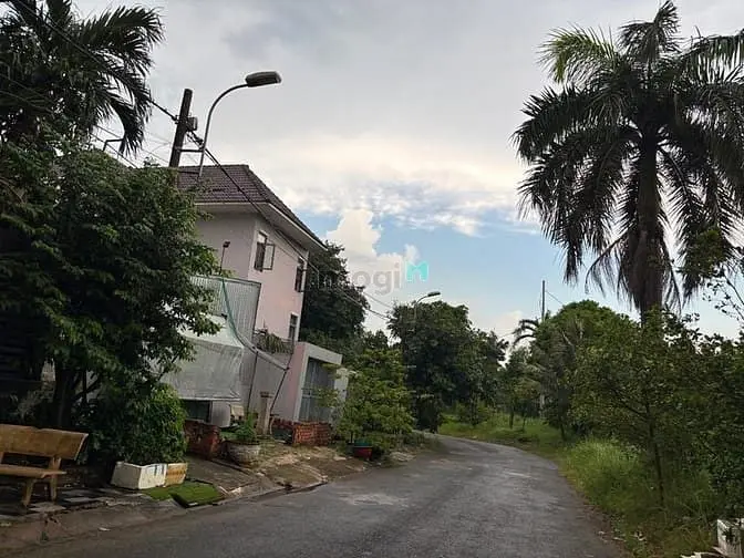 6016266 ảnh đại diện 1