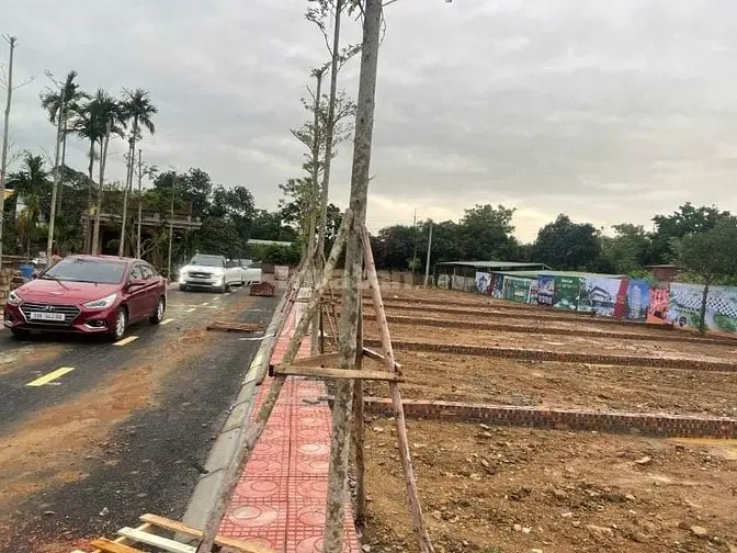 6016407 ảnh đại diện 1