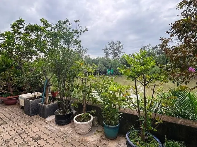 Biệt Thự 5 Tầng Có Thang Máy – View Sông Thoáng Mát – Giáp Phú Mỹ Hưng