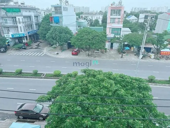 6015861 ảnh đại diện 1