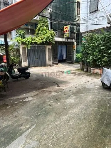 6016030 ảnh đại diện 1