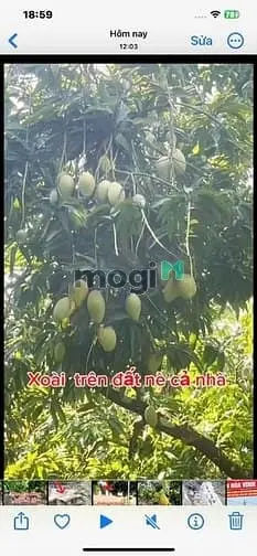Siêu Phẩm Nghỉ Dưỡng Định Quán – Đất Tựa Núi Nhìn Hồ, Giếng Riêng,