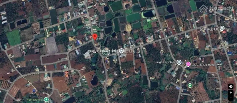 6016059 ảnh đại diện 1