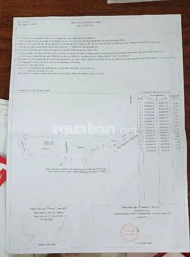 6015964 ảnh đại diện 1