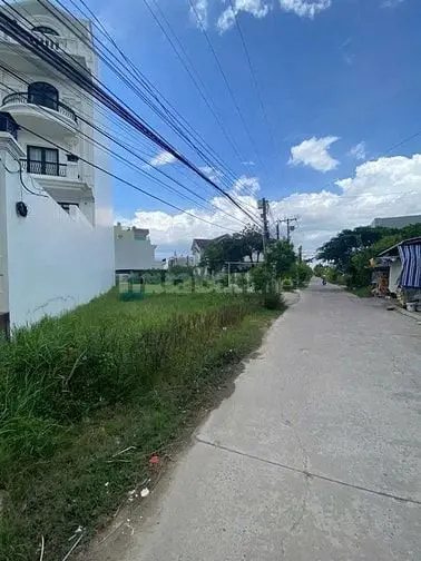 6016094 ảnh đại diện 1