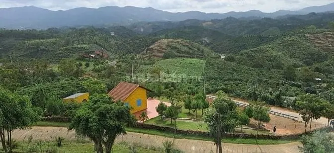 6016252 ảnh đại diện 1
