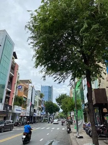 Cần Bán Mặt Tiền Võ Văn Tần Đoạn 2 Chiều 5 Lầu,5X15M_43 Tỷ