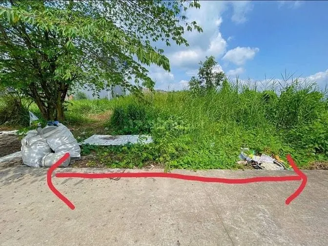 6016056 ảnh đại diện 1