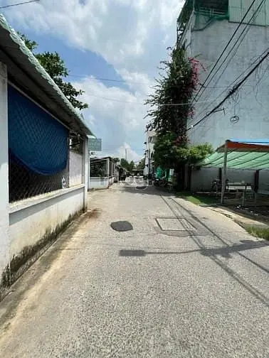 6016446 ảnh đại diện 1
