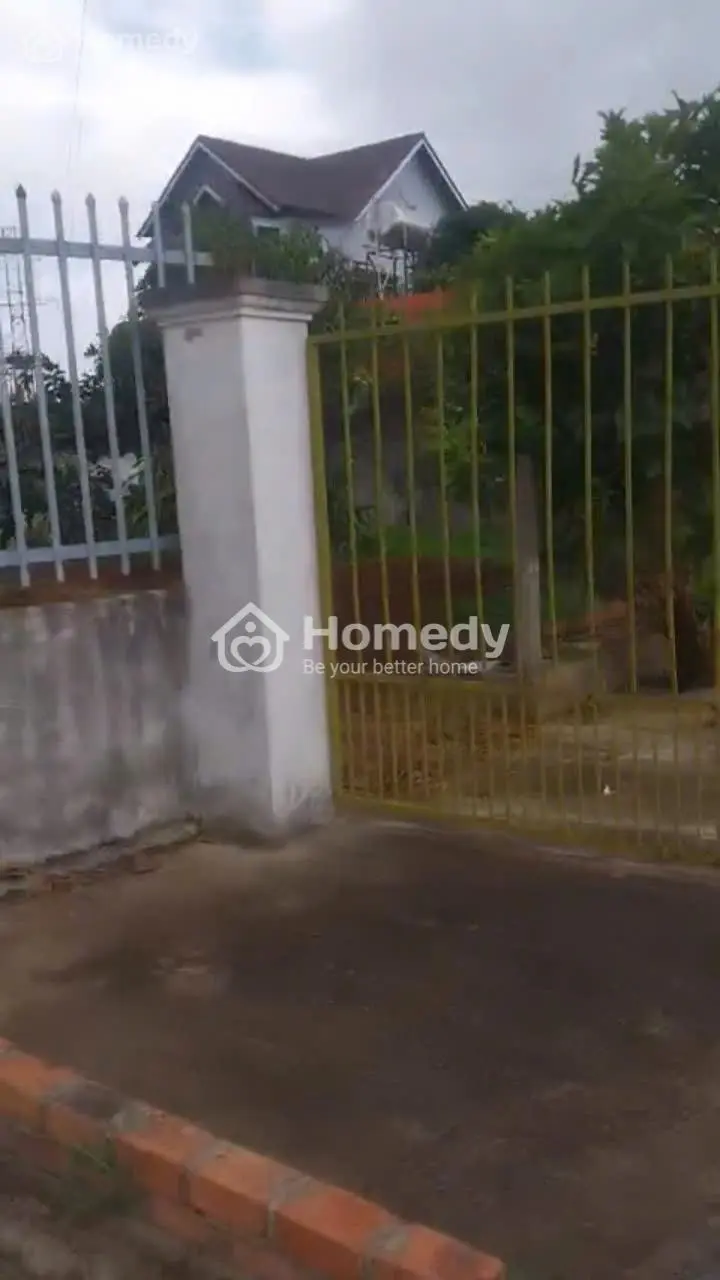 6016411 ảnh đại diện 1