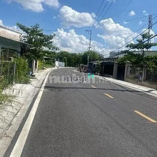 6016144 ảnh đại diện 1
