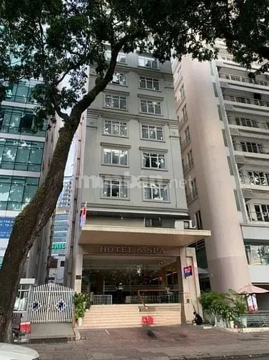 6016195 ảnh đại diện 1