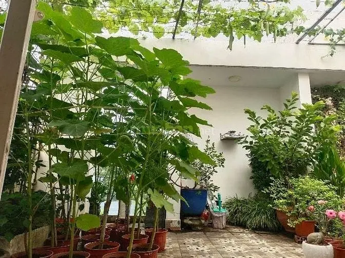 Gấp Bán Nhà Trường Thọ Thủ Đức
