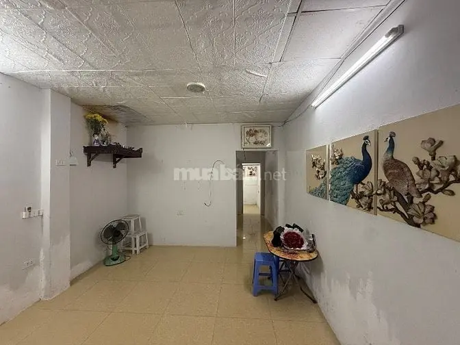6016209 ảnh đại diện 1