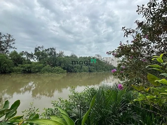 6016262 ảnh đại diện 1
