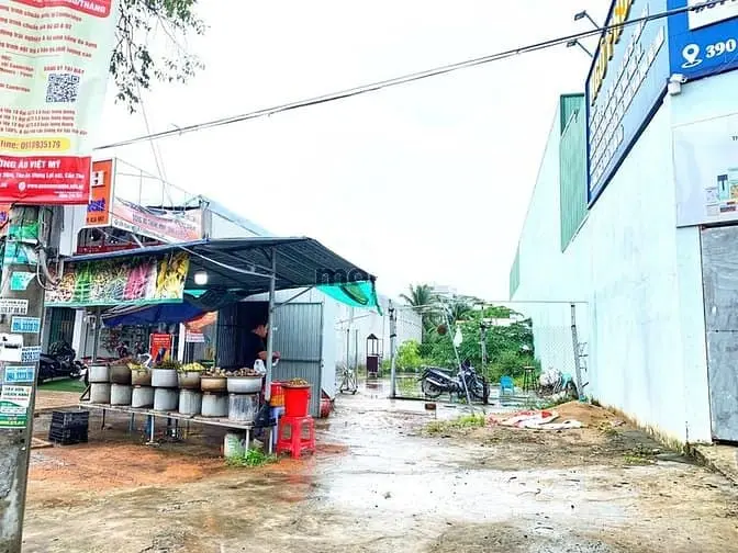 6015943 ảnh đại diện 1